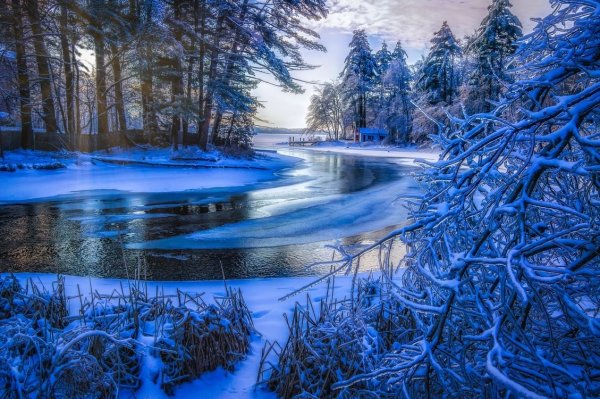 Зимняя природа на телефон