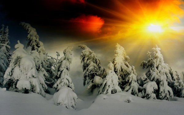 Зима природа на телефон