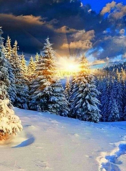 Зимняя природа
