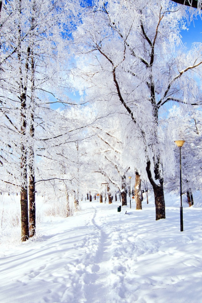 Зимний горный пейзаж