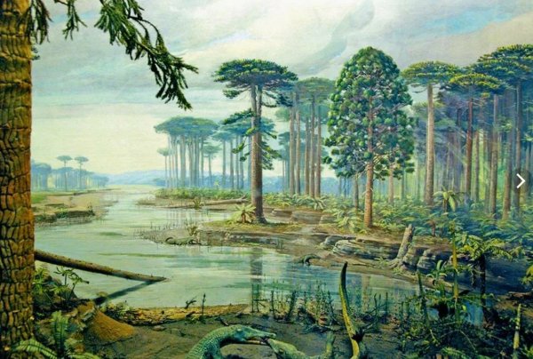 Мезозойская Эра Триасовый Юрский