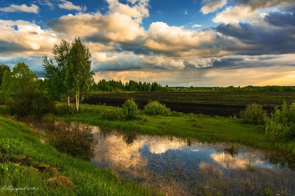 Тамбов природа