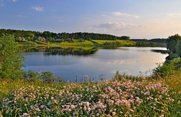 Лысая гора Воронинский заповедник