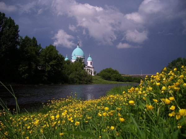 Река Цна Тамбов