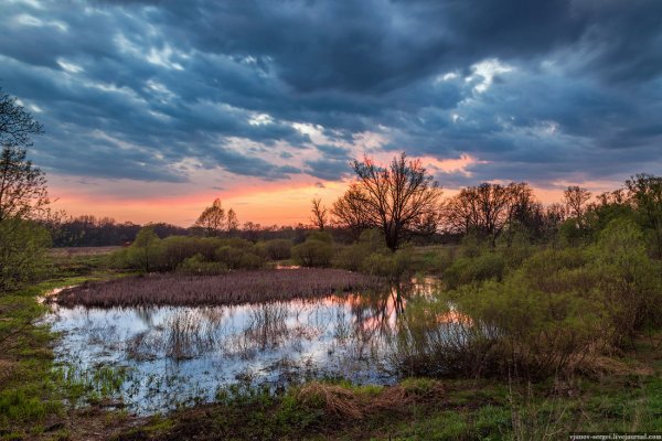 Родина Тамбов природа