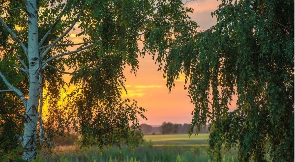 Тамбов природа