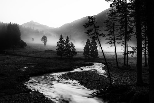 Пьер Пеллегрини фотограф