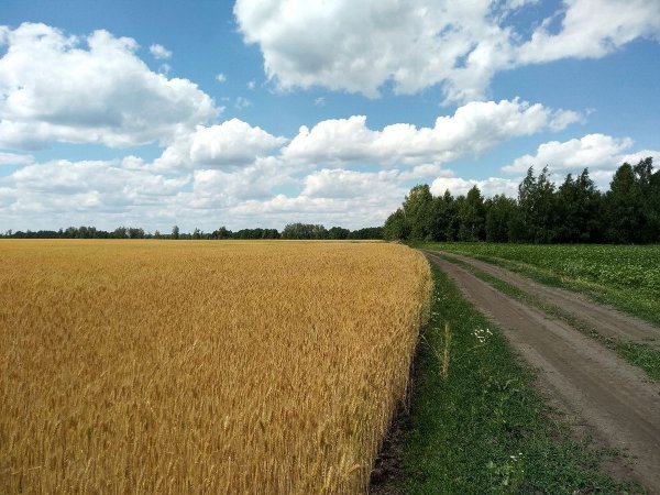 Река Цна Тамбов