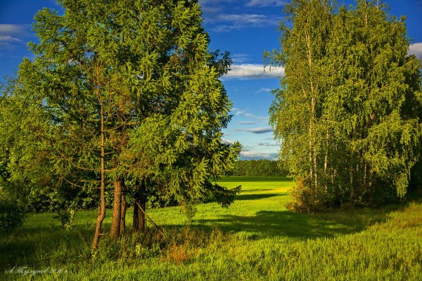 Тамбов осенняя река Цна