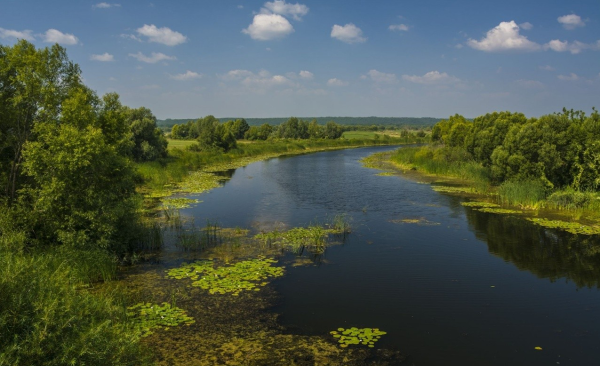 Река скатинка Камышловский