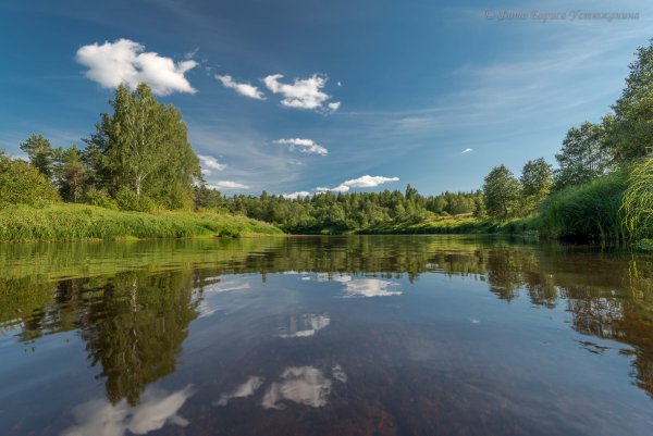 Природа Вологодской области