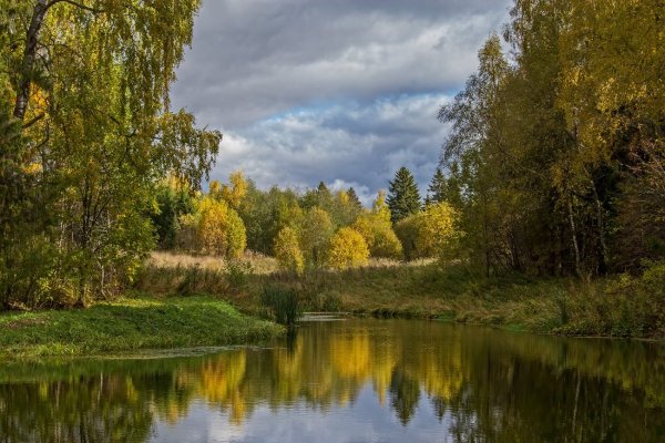 Верховский лес Вологодская область