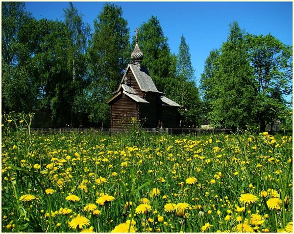 Природа Вологодской области
