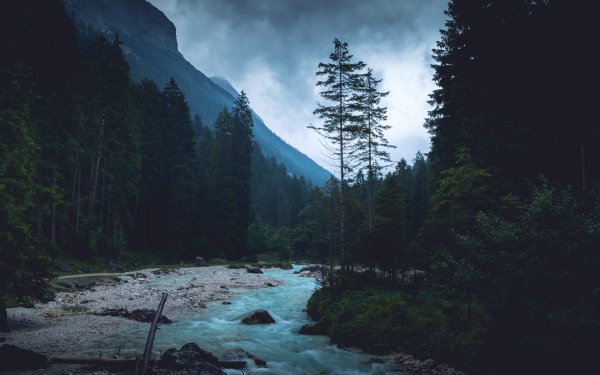 Природа горы лес