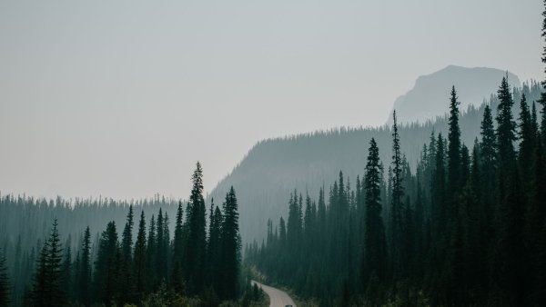 Постер природа