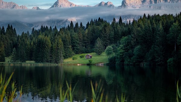 Заставка природа