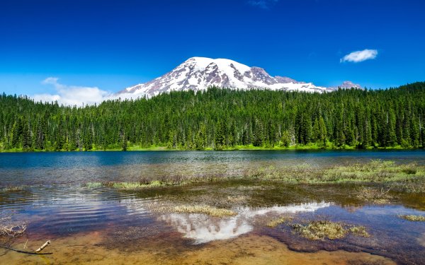 Mount Rainier National Park гора.