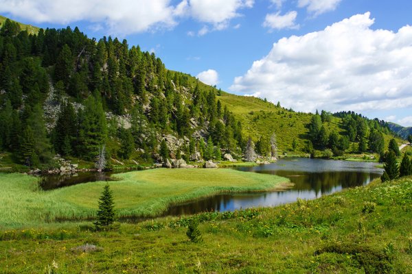Природа лес горы Башкирия