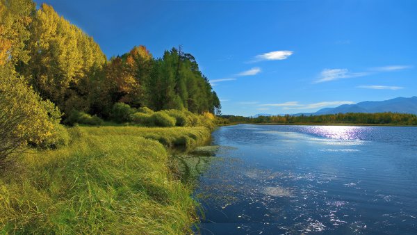 Река Черноголовка