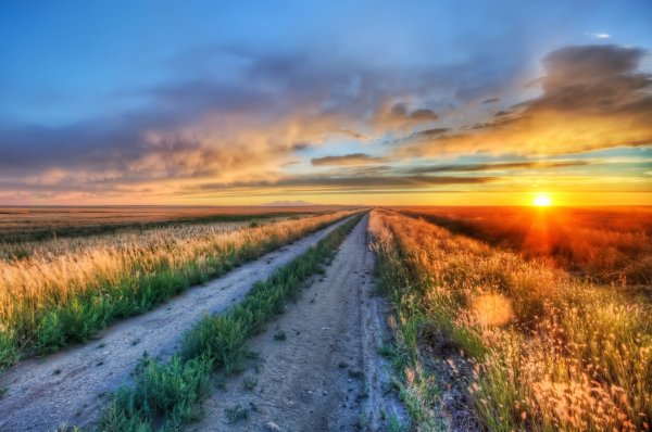 Защита природы