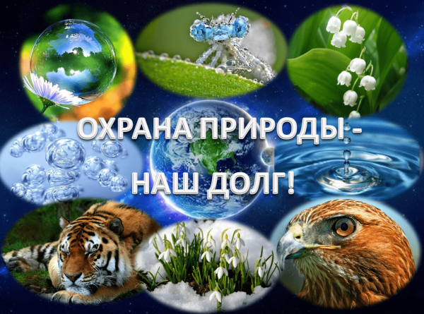 Охрана природы и окружающей среды