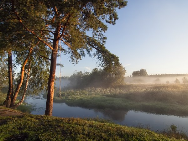 Природа Богородского района Нижегородской