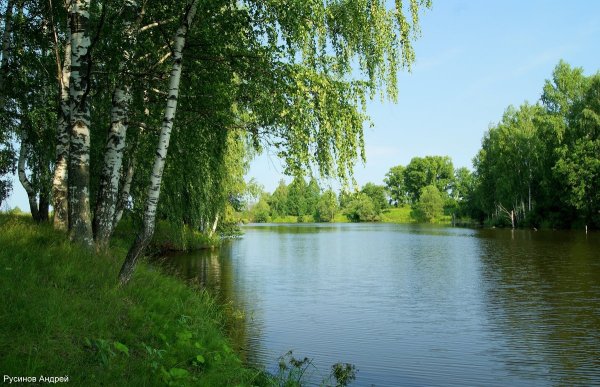 Река Ветлуга Киров