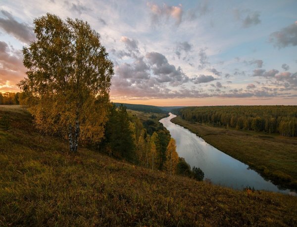 Леса Волго Вятского района