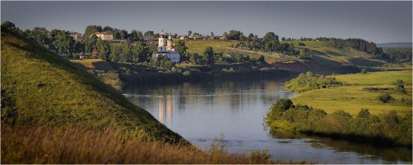 Флора Кировской области