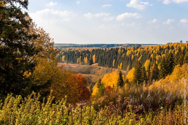 Природа Вятки Кировской области лето
