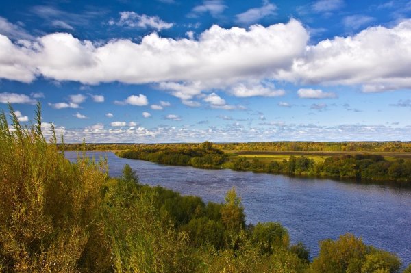 Река Немда Костромская область