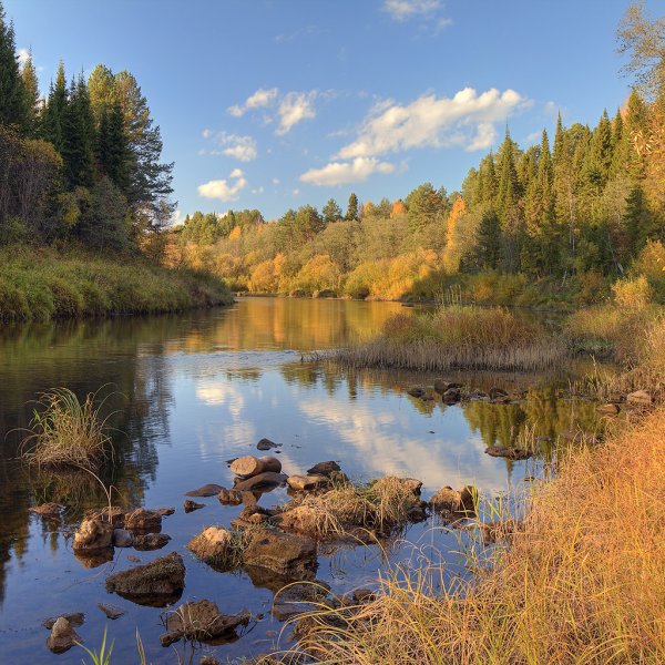 Вятский край осень