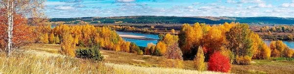 Леса Кировской области