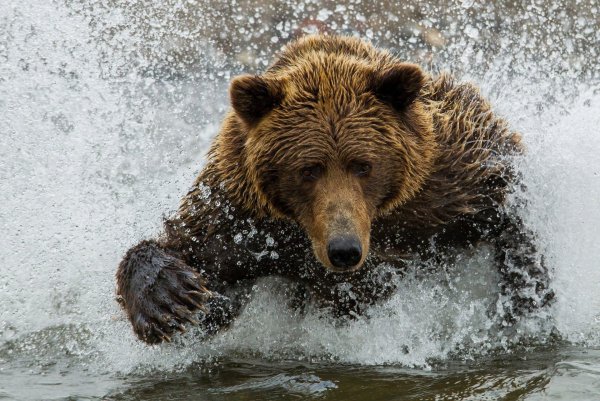 Осень листья река