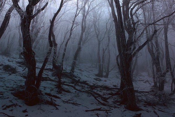 Мрачный пейзаж