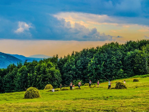 Самсон Сеногной
