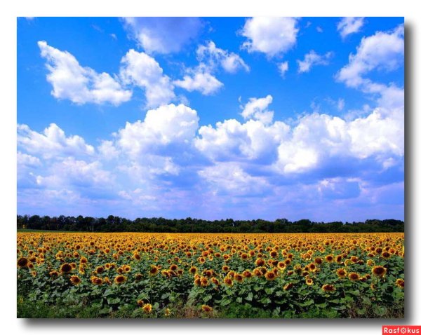 Украина природа