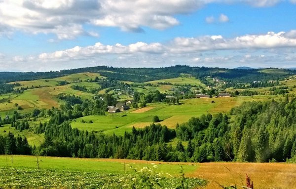 Природа Украины Карпаты