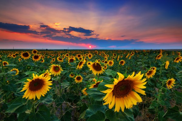 Украина природа