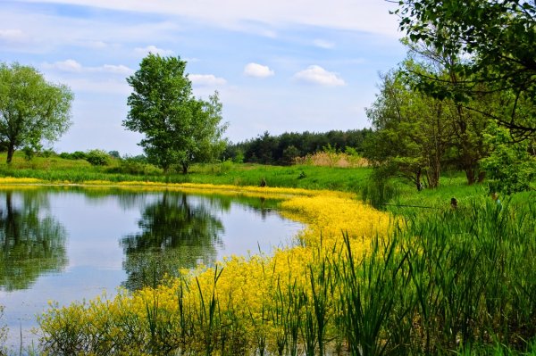 Красота украинской природы
