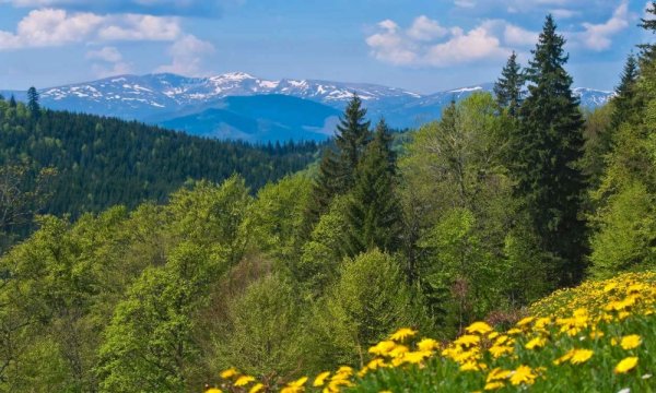 Западная Украина Карпаты