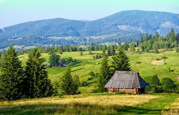 Красивая природа