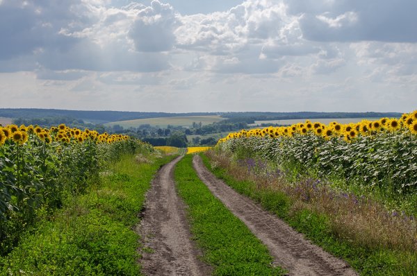 Западная Украина Карпаты