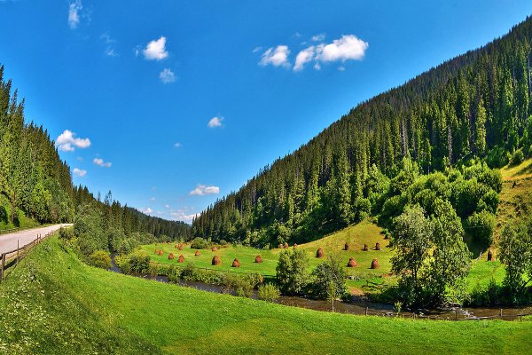 Карпаты Румыния холмы туман