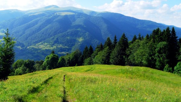 Гора Златибор Карпаты