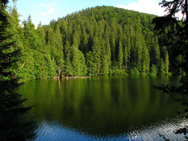 Карпатские горы Закарпатье