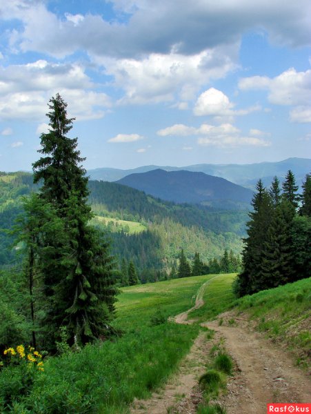 Горы Карпаты Украина