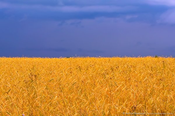 Карпатские горы Закарпатье