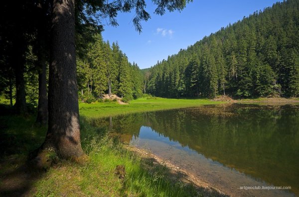 Карпатский заповедник