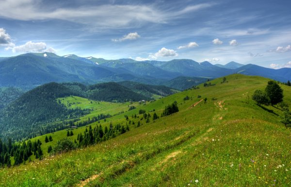 Природа Украины Карпаты